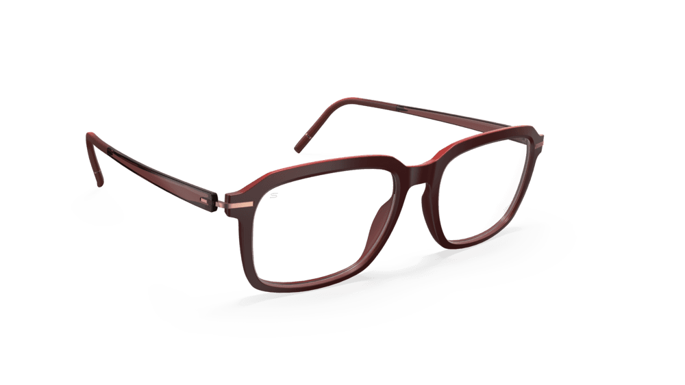 VIBRANT HORIZON 2975